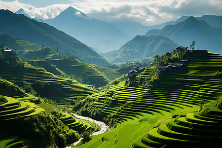 田园风光背景图片