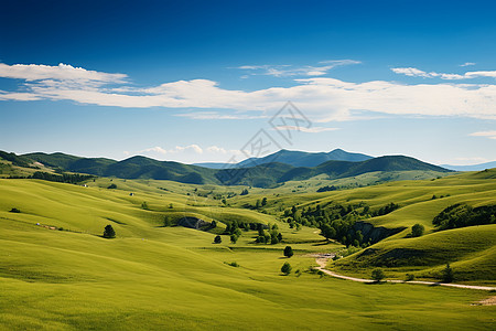 云雾山谷绿色山谷与山脉背景