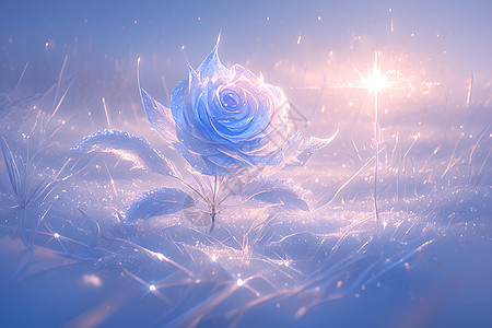 漂亮美丽的冰玫瑰图片