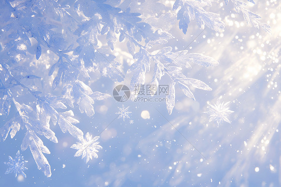 冬日飘雪图片