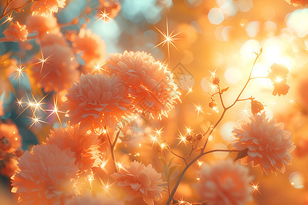 盛开的橘色花海背景图片