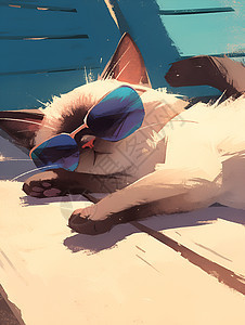 猫咪躺在沙滩上图片