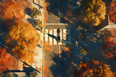 秋天公园俯拍角度图片