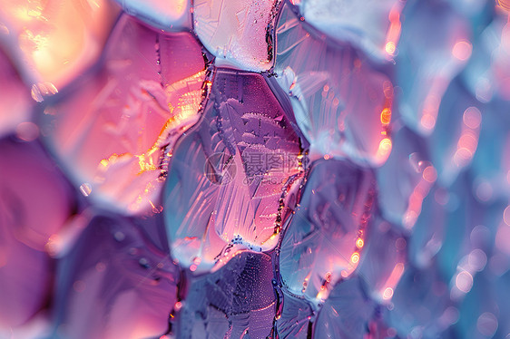蓝紫色花瓣玻璃纹路图片