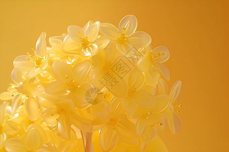 金黄色花簇背景图片
