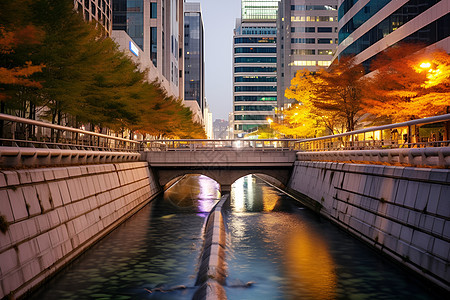 大城市的水道图片