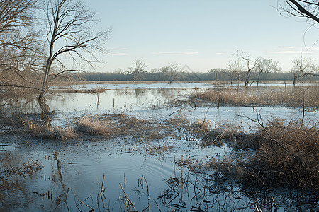 洪水对当地生态系统造成的风险背景图片