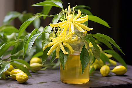 瓶子里的香花背景图片