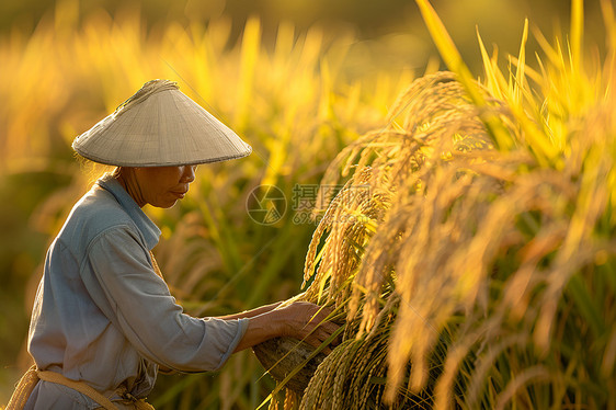 金黄的夕阳下农民图片