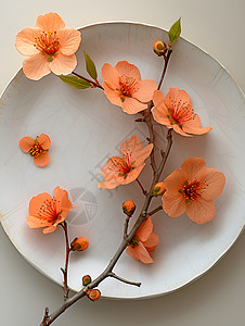 瓷盘子中的桃花图片