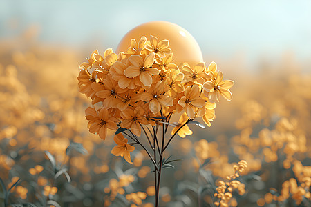 黄色花朵中的鸟蛋图片