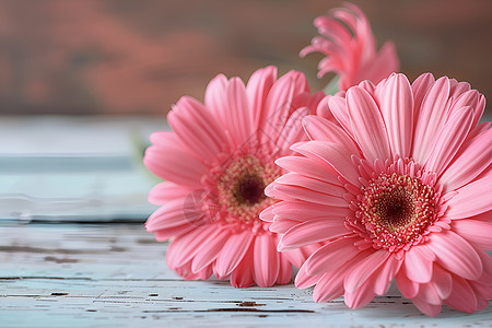 粉色的鲜花盛开图片