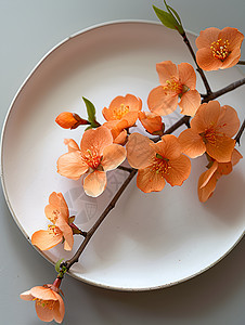 橙花枝放在白色盘子上图片