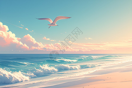 黎明时分海滩上的海鸥图片