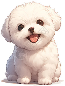 微笑的白狗图片