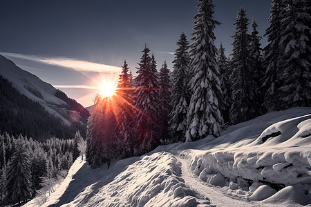 夕阳下的雪路图片