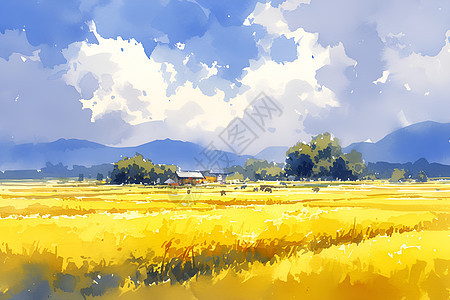 金黄色的稻田背景图片