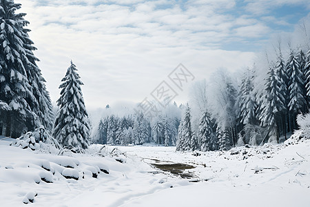 冰雪覆盖的冬季风景图片