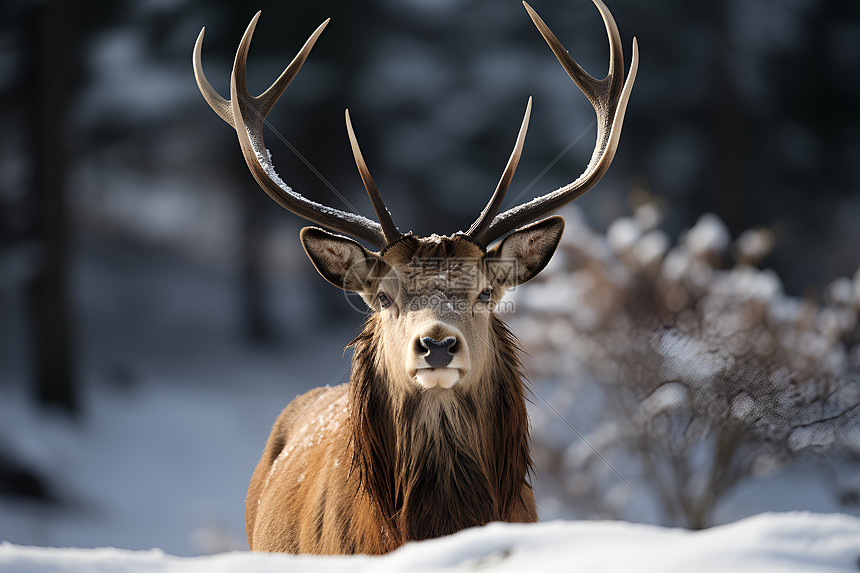 雷霆青年军逆袭掀翻东部强敌