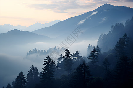 被雾围绕的山谷图片