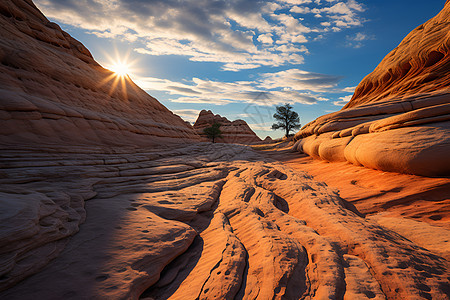 夕阳下的红岩砂图片