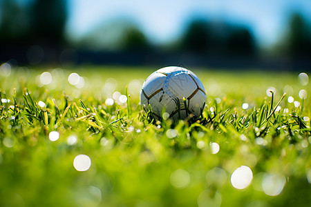 足球草地草地上的足球背景