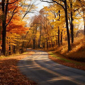 秋色国道图片