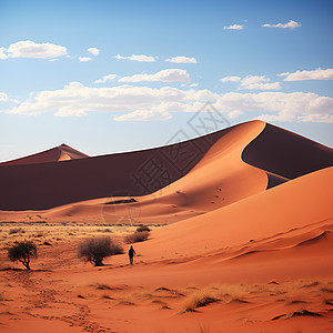 一片沙漠图片