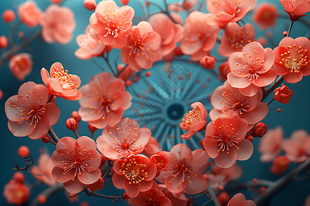 漂亮盛开的樱花图片