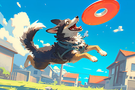 欢乐的狗狗在空中接住飞盘图片