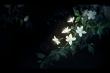 黑夜树枝上的白花图片