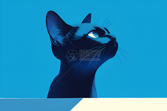 蓝色背景上的黑猫图片