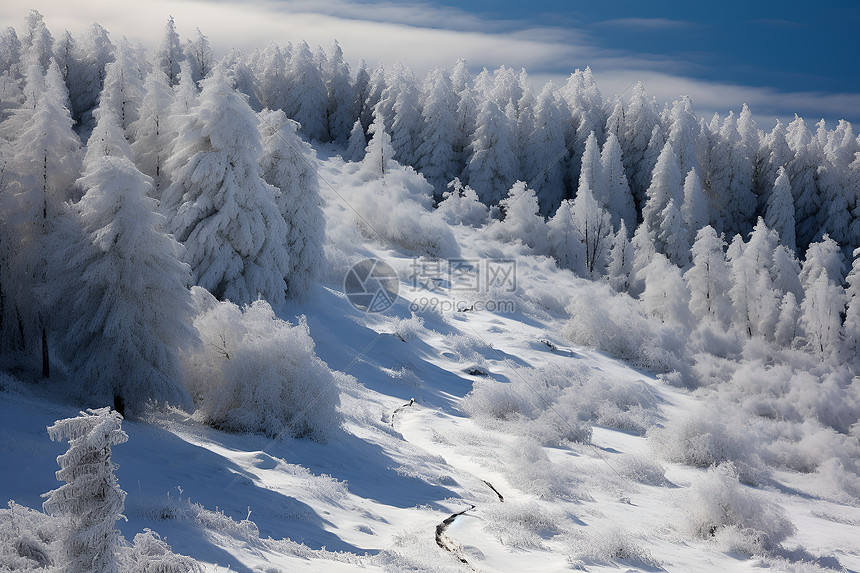 冬日雪景图片