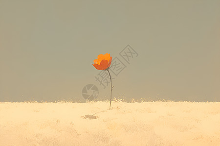 寒风中傲立的孤独花瓣图片