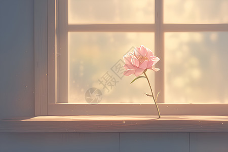 窗边的一枝花图片