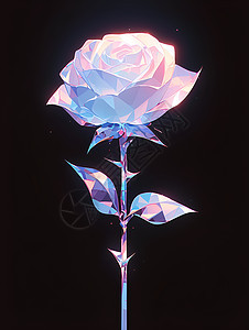 七彩的玫瑰花背景图片