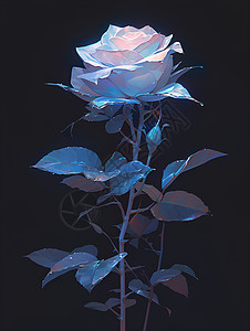 玫瑰花的艺术之美图片