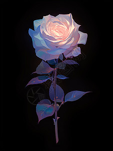 一枝漂亮的玫瑰背景图片