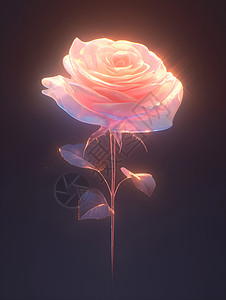 玫瑰的迷人插画图片