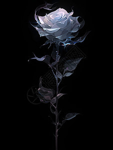黑背景下展示的简主义玫瑰图片