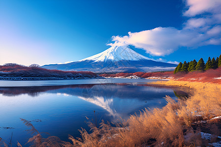 雪山河流边的草地图片