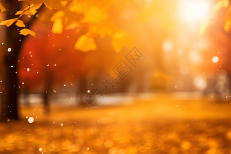 秋日林间阳光图片