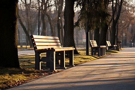 公园树下空荡荡的长椅图片
