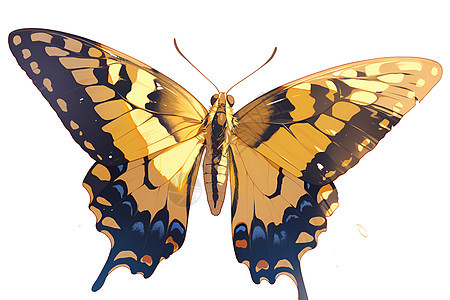 绘画的昆虫蝴蝶图片