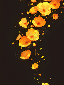 黄花漂浮在黑暗中图片