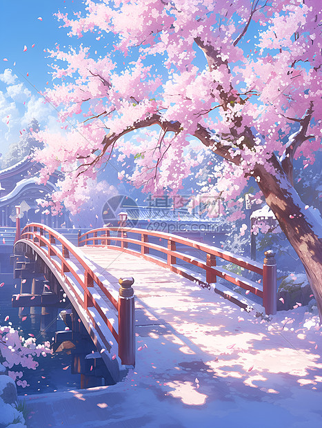 美丽樱花桥图片