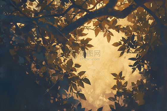 阳光下的树丛图片
