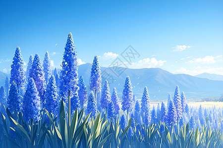 绿叶红花蓝色的风信子花海背景