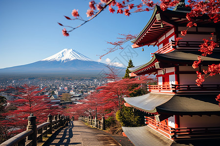富士山手绘枫叶下的寺庙背景