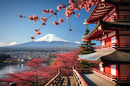 樱花山与富士山图片